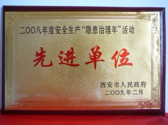 2009年2月，被西安市人民当驹炖为2008年度安全出产“隐患治理年”活动先进单元
