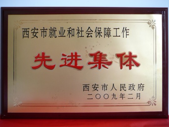 2009年2月，被西安市当驹炖为西安市就业和社会保险工作先进集体