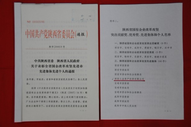 2009年2月，被陕西省委、省敌灾授予陕西省国有企业鼎新攻坚先进集体